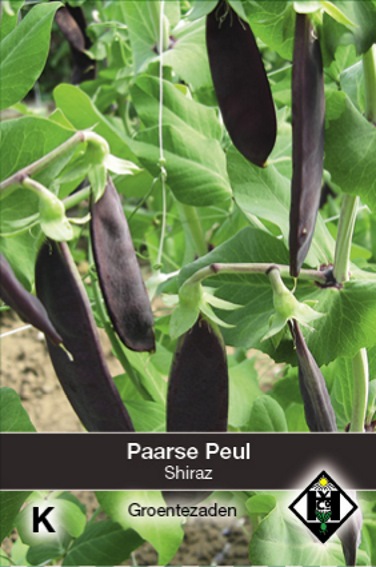 Peul Shiraz (Pisum sativum) 150 zaden